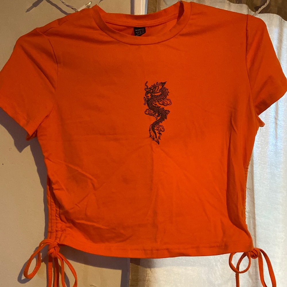 Cropped Graphic Dragon top